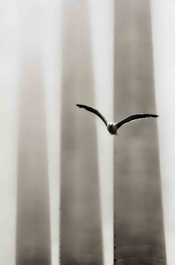 Morro Bay (3 of 9) by Mark Indig