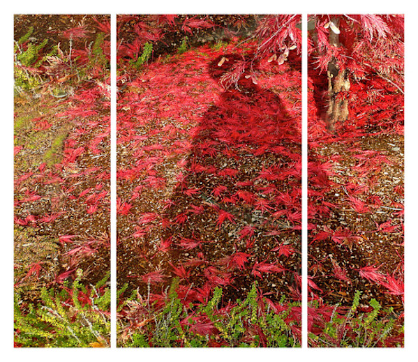 Red Tara by Southern California Women's Caucus for Art SCWCA