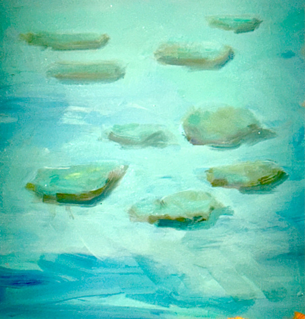 My First Summer, Mountain Lake 61 by Mel Smothers
