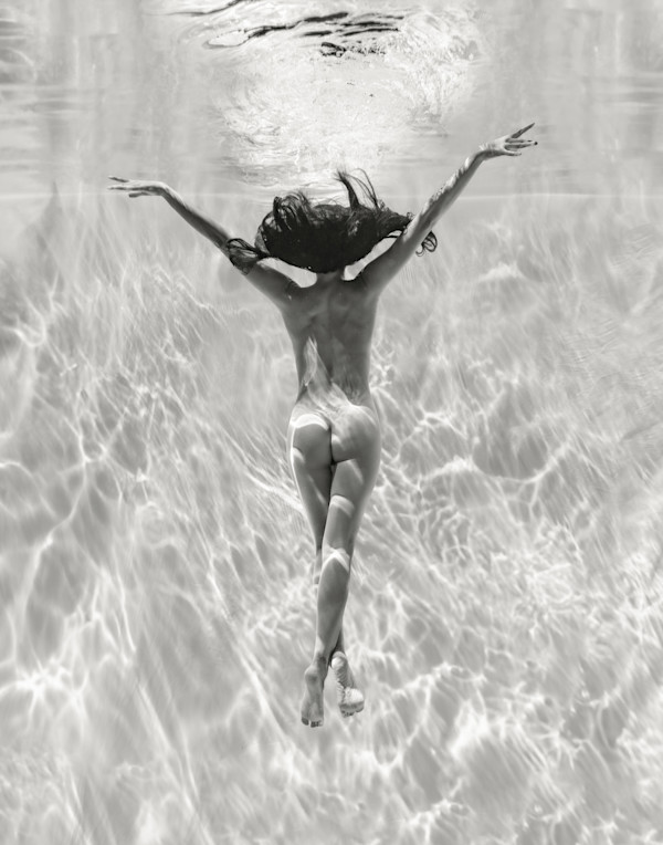 The Joy of Immersion by Dan Katz, Image 1.