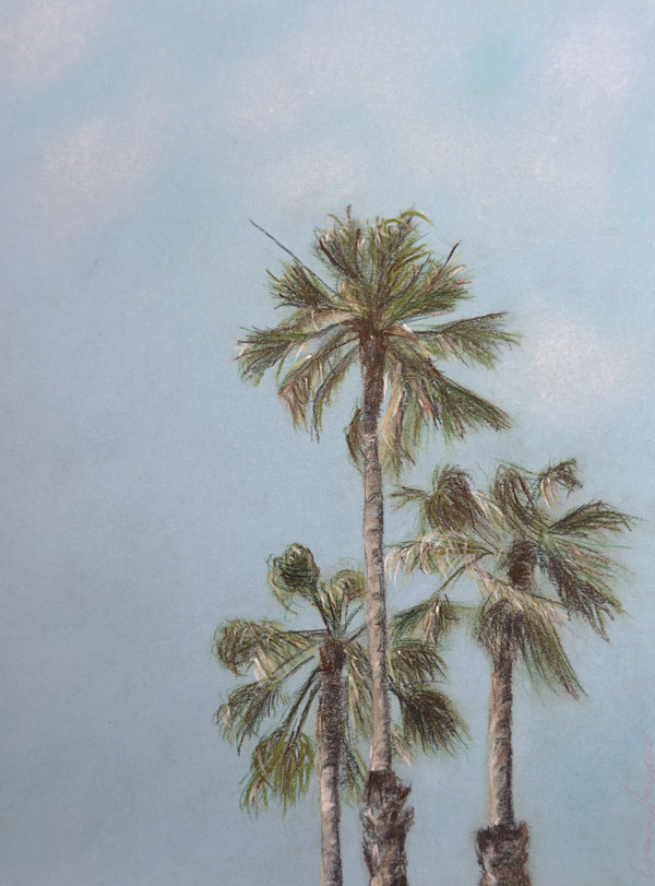 Palm Stories by Oxana Akopov