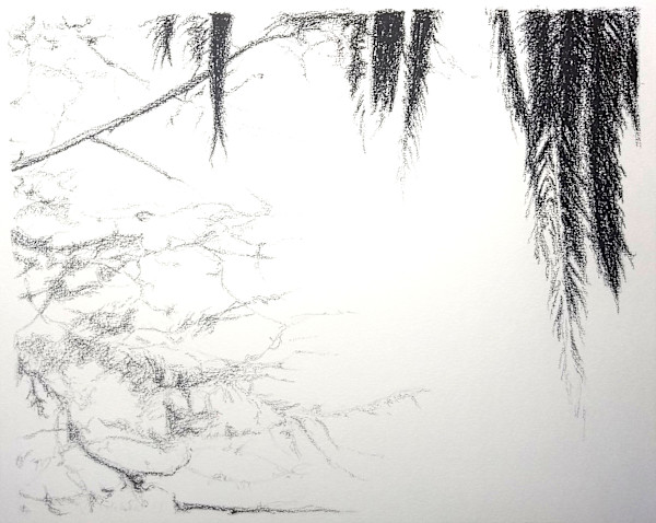 Palms and Pine by Victoria Loschuk