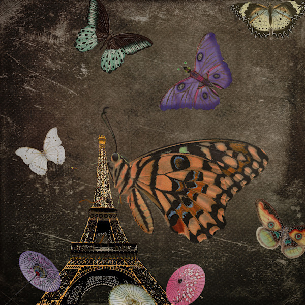 Papillon & Parapluie by Wendy Tigerman