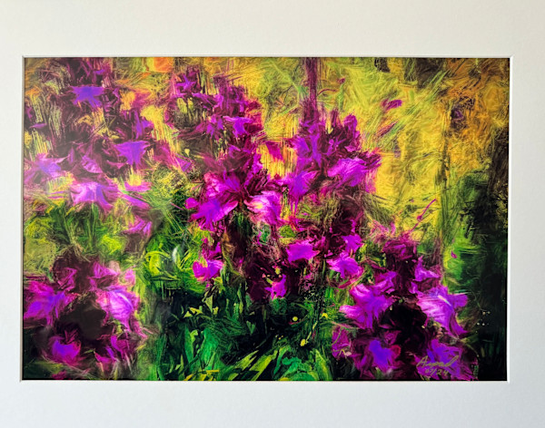 Washington Flowers by Arpad Petrass
