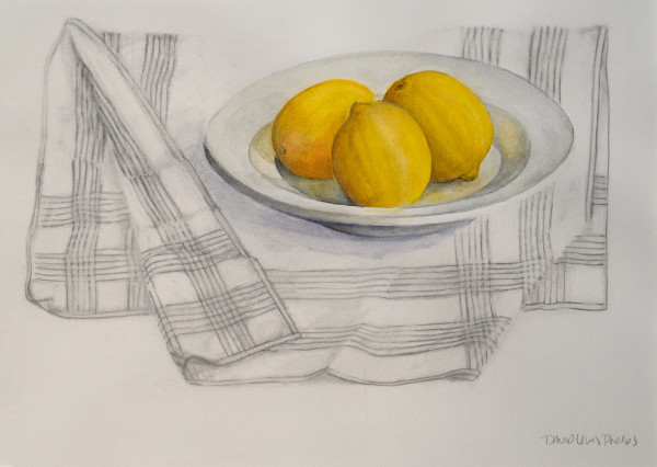 Lemons and Dish Towel by David Phelps