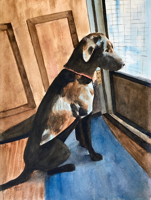 Curiosity by Patti Pierce