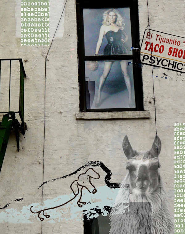 Psychic Llama by Wendy Tigerman