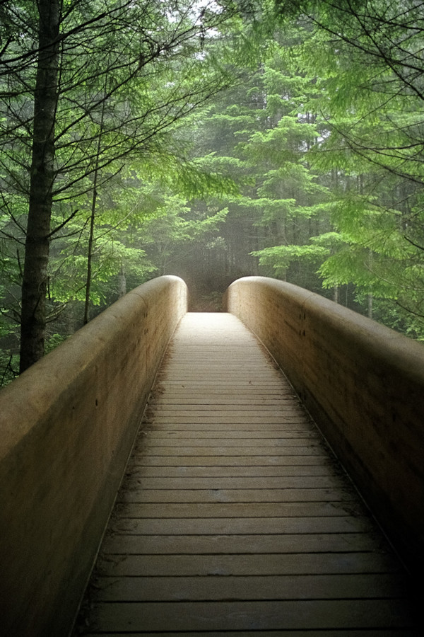 Redwood Bridge (9 of 9) by Mark Indig