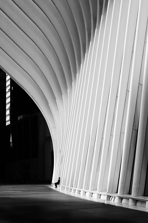 Taking Sun at the Oculus  (LA OPEN- EXCELLENCE IN PHOTOGRAPHY) by Eric Renard