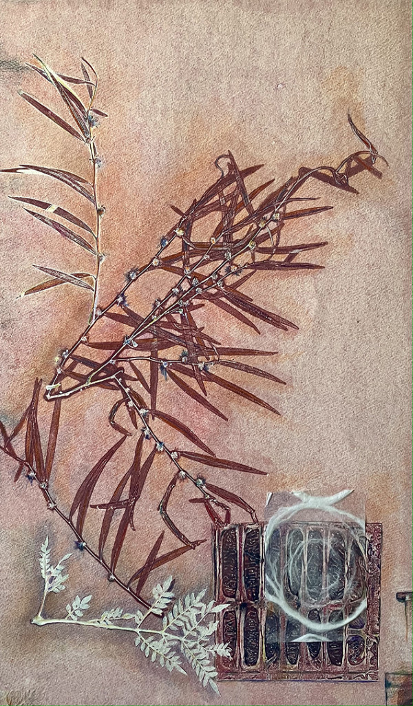 Rust Olive Leaves by Rhonda Burton