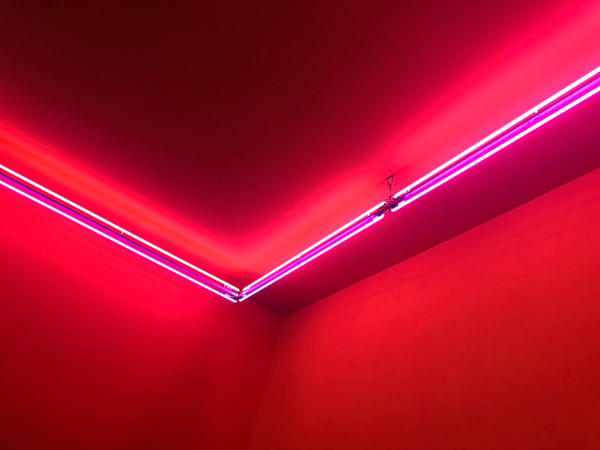 Cheap Hotel by Miriam Schulman