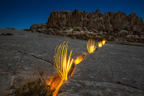 Sparking Abyss by Thomas Wheeler