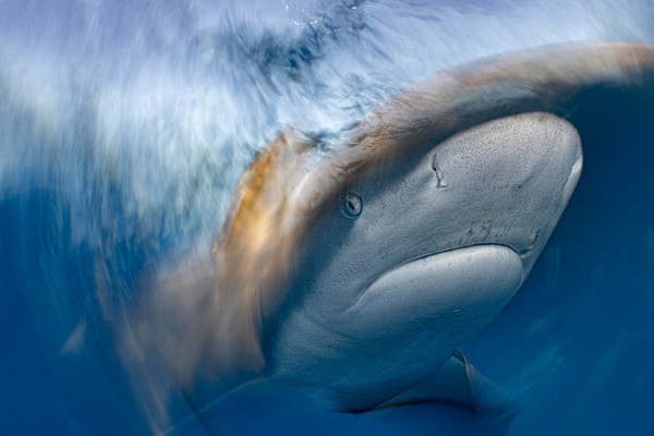 The Arc of Golden Hour by Explorers Photography