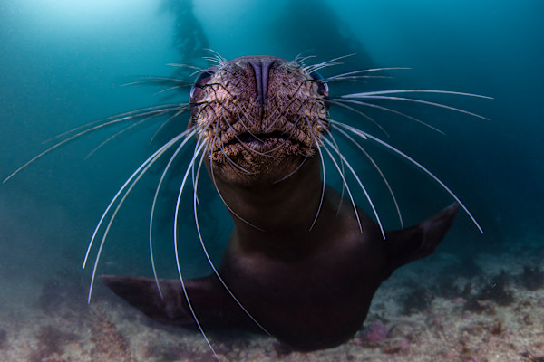 Jazz Hands by Explorers Photography