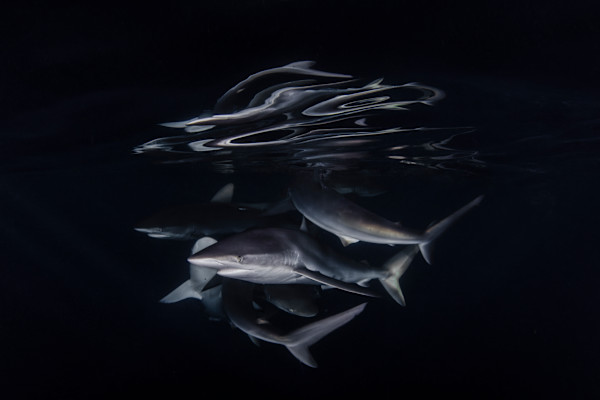 Silky Mirage by Explorers Photography