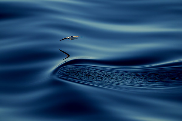 Arctic Glass by Explorers Photography