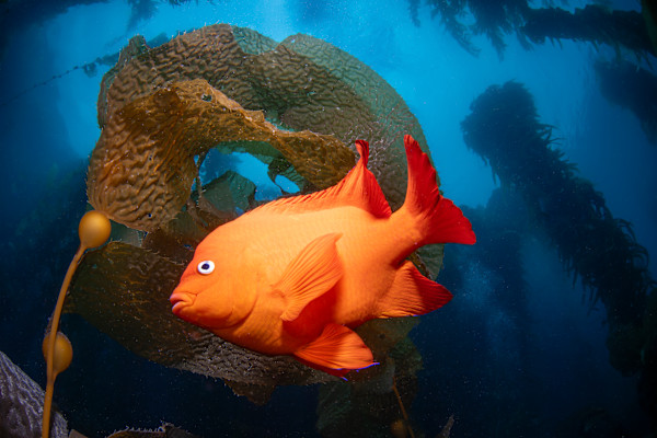 It's a Gary world out there! by Explorers Photography