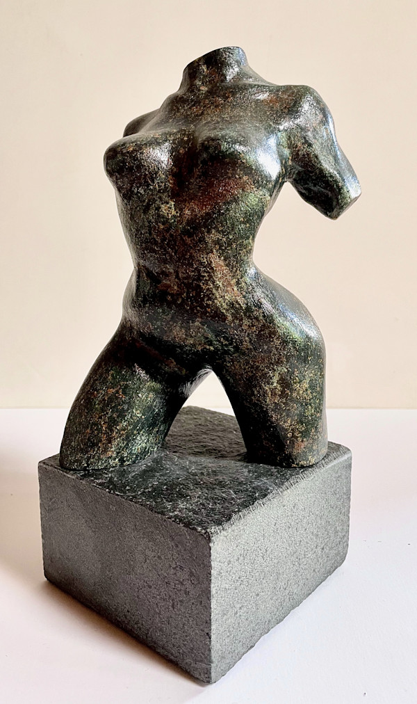 Strider by Elyse Wyman