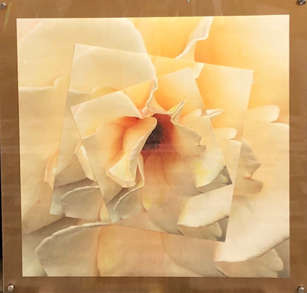 Three Yellow Roses by Rhonda Burton