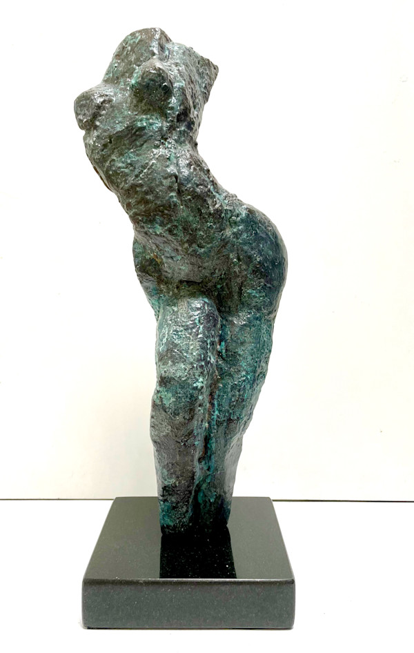 Tortured Soul by Elyse Wyman