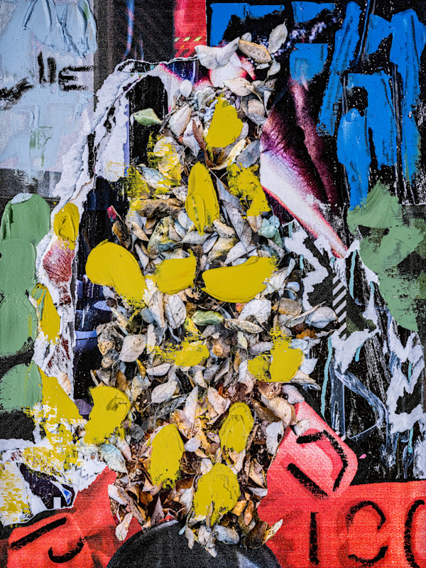 Urban Bloom by Don Saban, Sharon Cannon