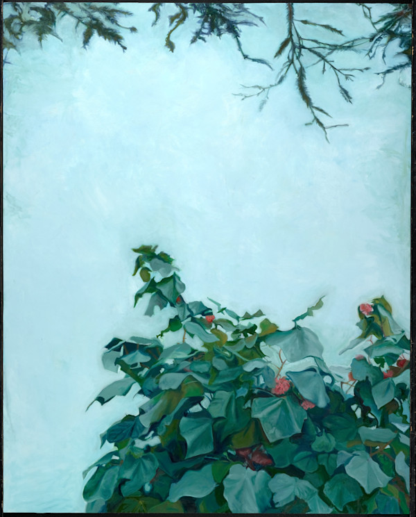 Santa Barbara Big Leaves by Victoria Loschuk