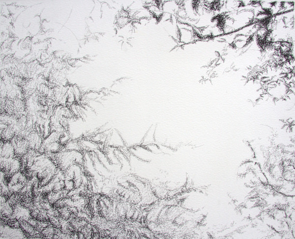 Surrounding Branches by Victoria Loschuk
