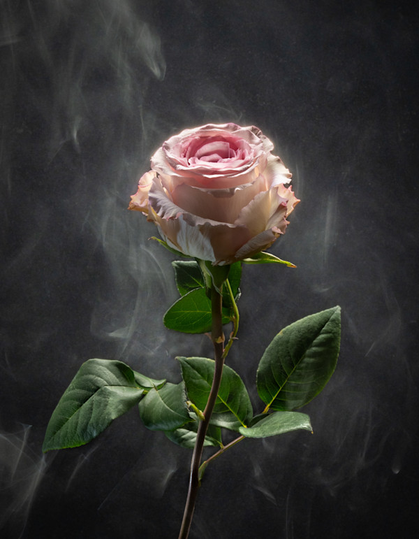 Looking for the Light. Smoke and Sighs, Velda Ruddock by California Art League