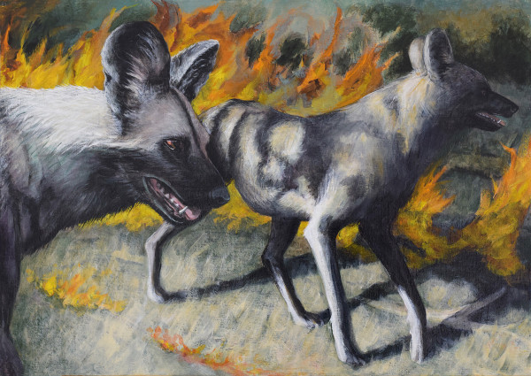 Wild Dogs With Fire by Lynette K. Henderson