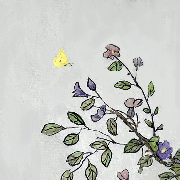 Yellow Butterfly by Sunhee Joo