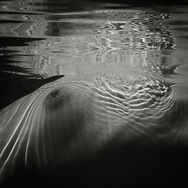 Sacred Light 5732 by Dan Katz, Image 1.