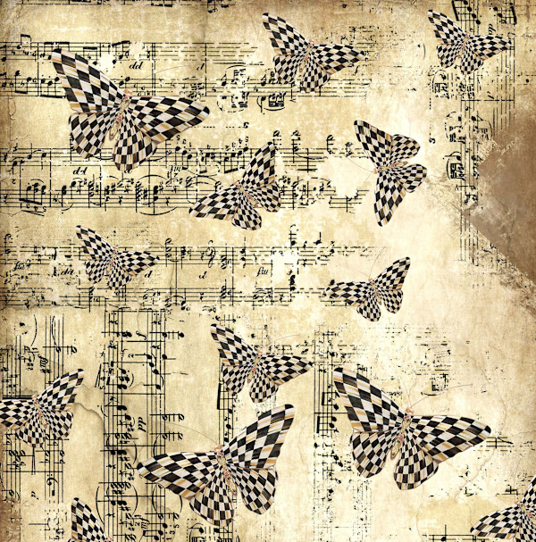 Butterfly Music by Wendy Tigerman