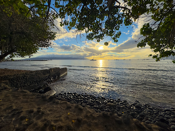 Lahaina Lives - Mala 2 1/100 by Lee Cooper