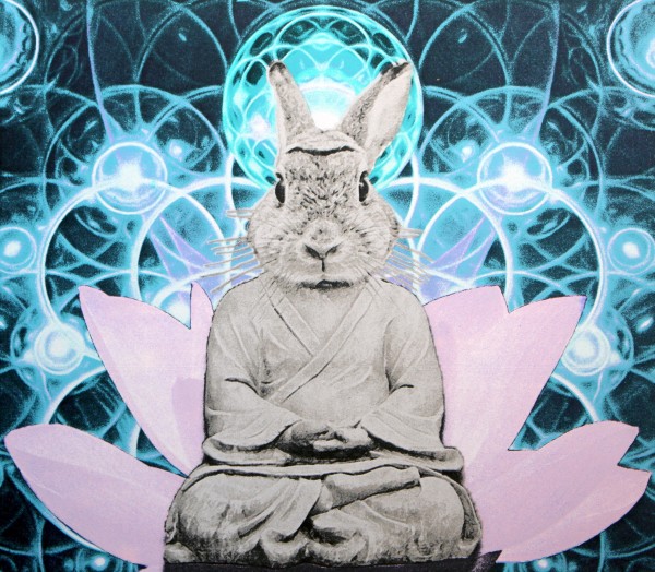 Buddha Bunny by Karen Fiorito