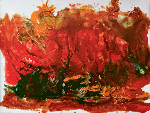 Thoughts on Fire by Barbara Tabachnick