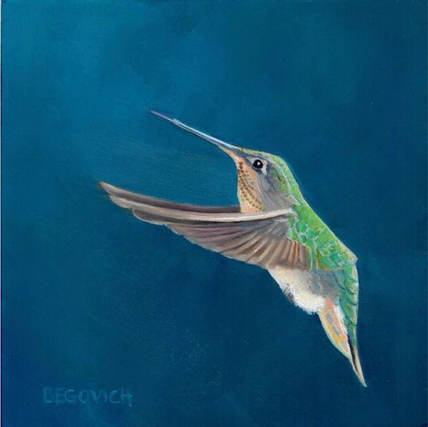 Hummingbird Aglow (Patrice Begovich) by Collymore Oil Painters Atelier, Image 1.