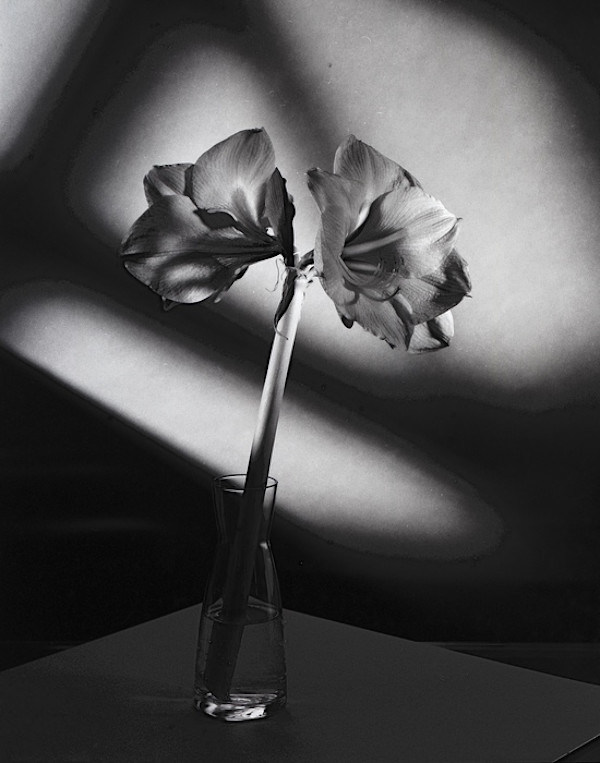 Manny's Glass #2 by Mark Woods, Image 1.