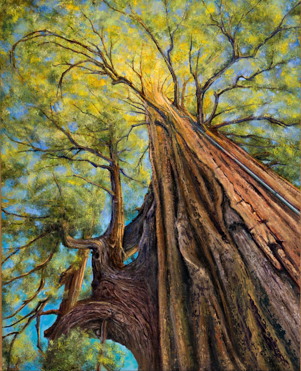 El Palo Alto (Patrice Begovich) by Collymore Oil Painters Atelier