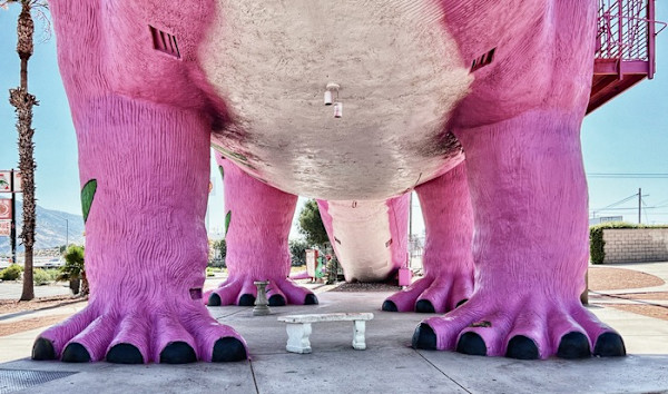 Four Pink Feet by David Levinson, Image 1.