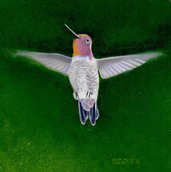Hummingbird in Flight (Patrice Begovich) by Collymore Oil Painters Atelier, Image 1.