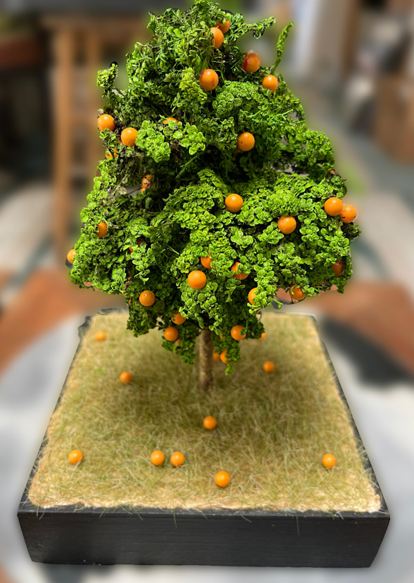 Orange tree by Gary Polonsky