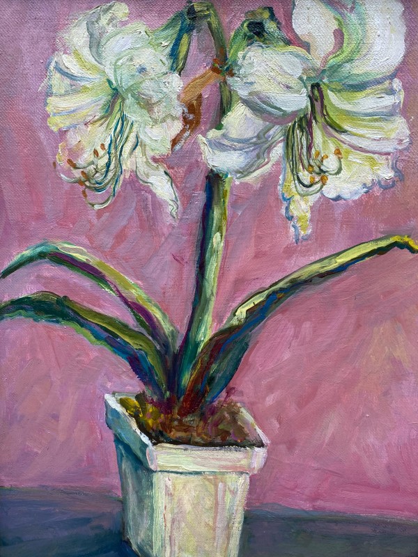 White Amaryllis by Kathleen Losey
