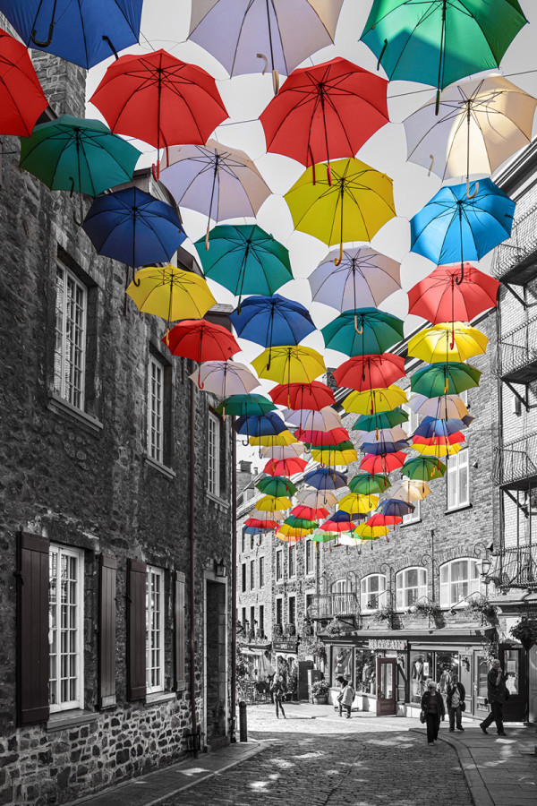 Umbrellas by Eric Renard