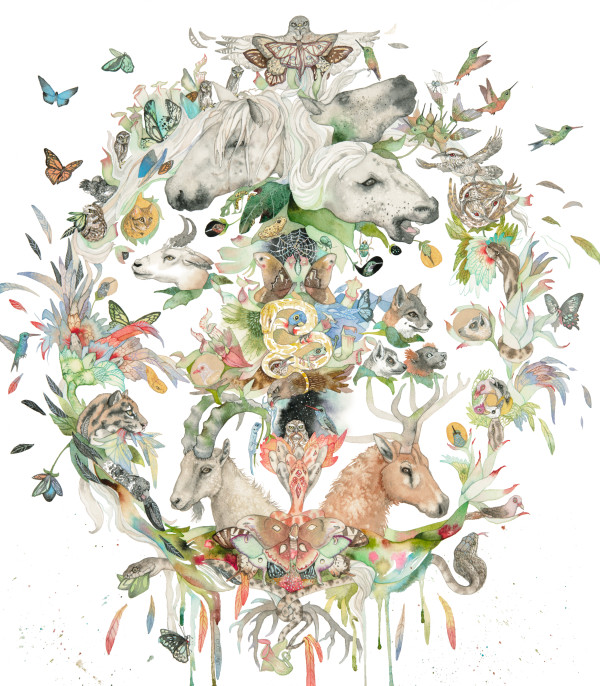 Moth Mandala by Laura Ball
