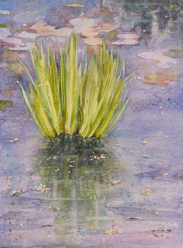 Water Plant by Laura Ball