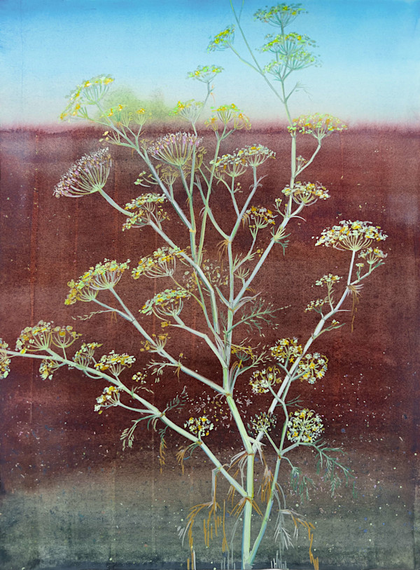 Wild Fennel by Laura Ball