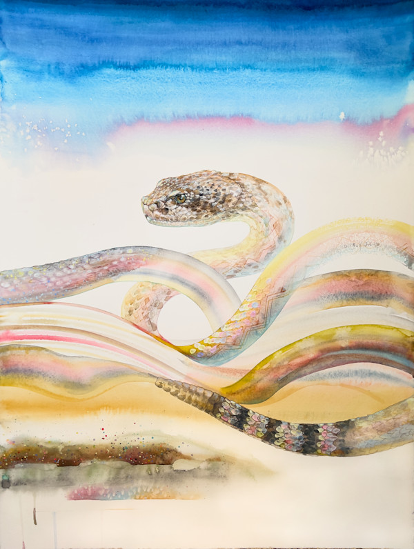 Diamondback by Laura Ball