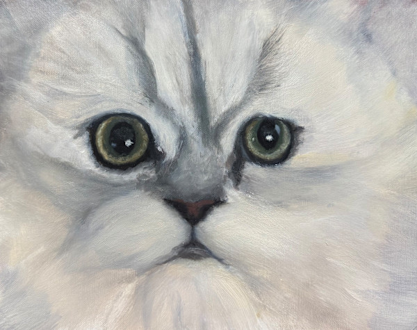 Kitty, Kitty by Pat Wattam