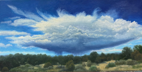 Blooming Cloud by Pat Wattam