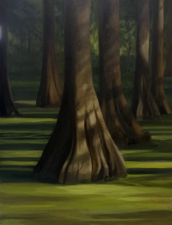 Sunlit Swamp by Pat Wattam